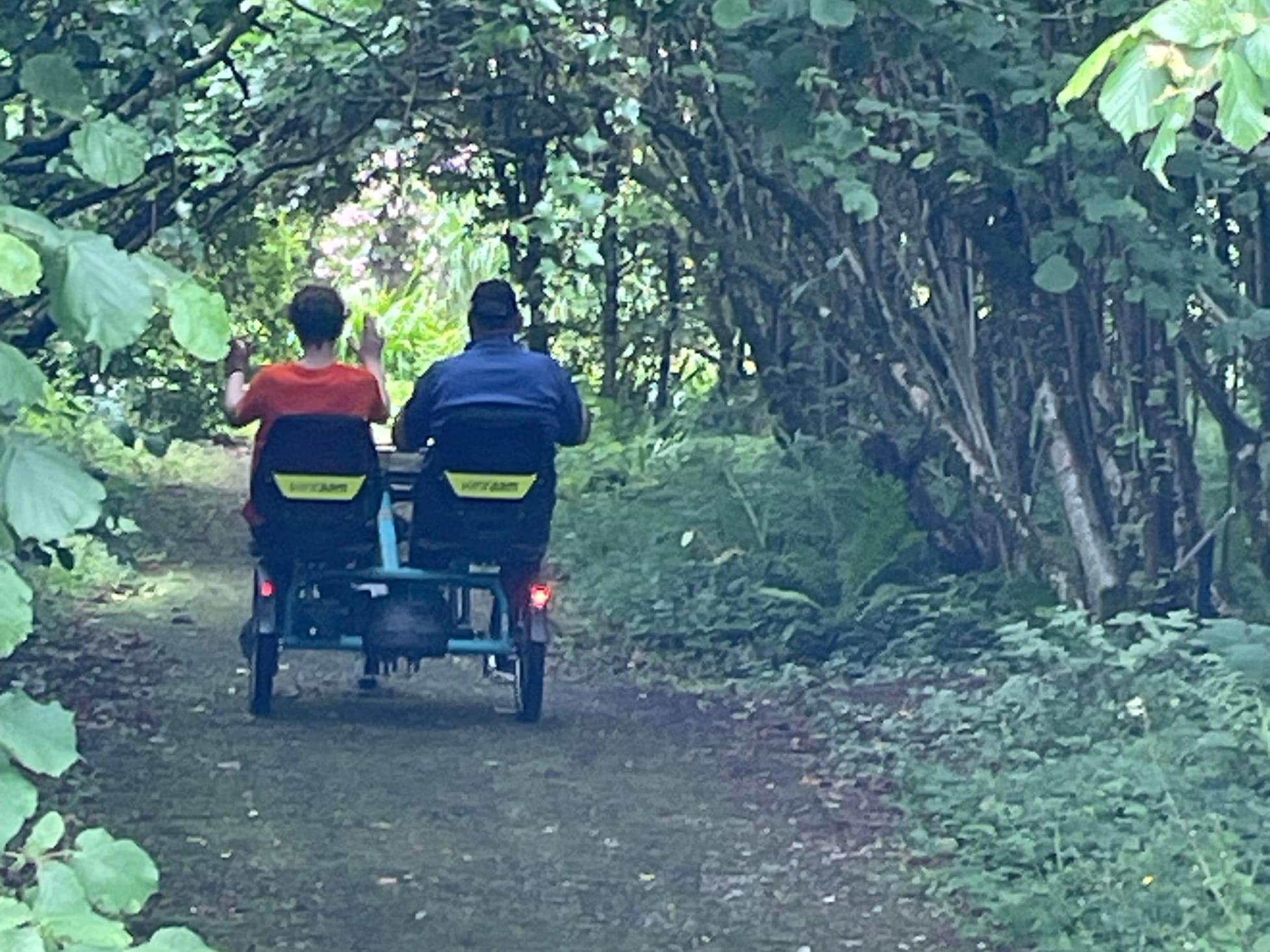Summer recap from Able Active