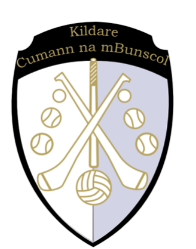 Primary School League Management